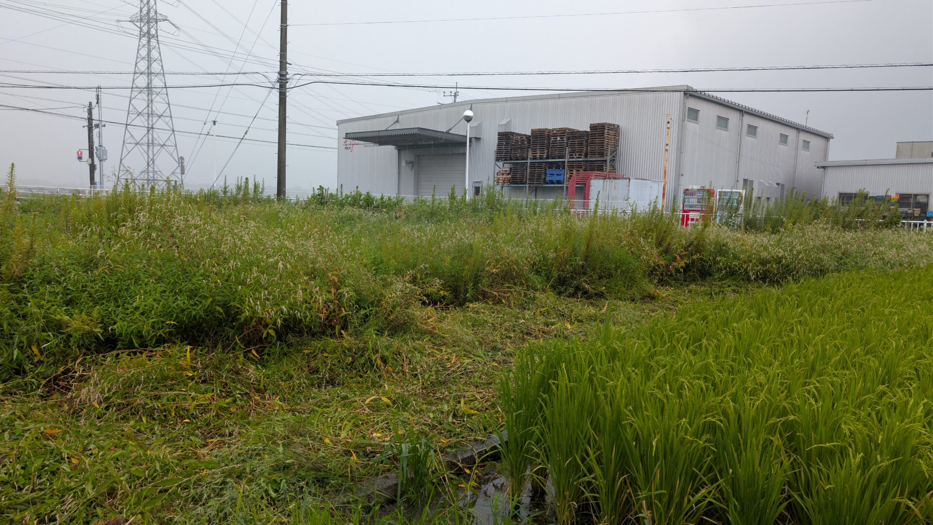 新農地、草刈りからはじまる農場づくり